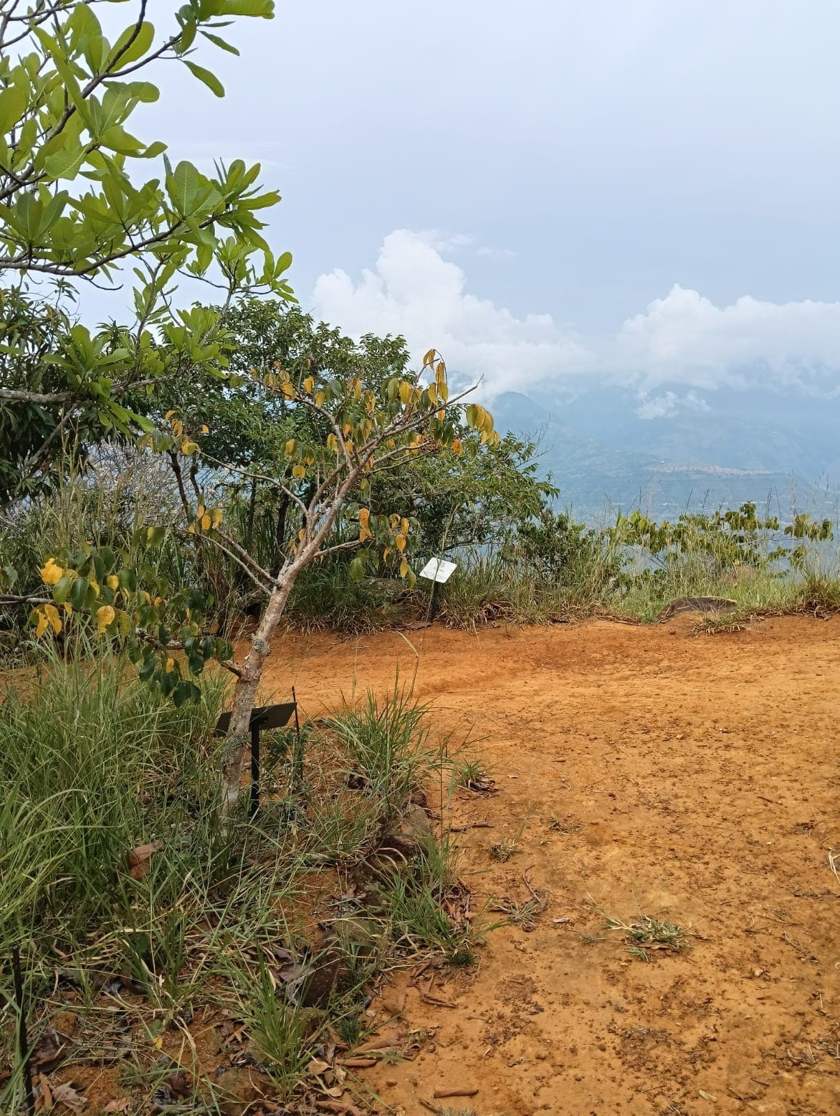 Sendero natural en el Bioparque Móncora