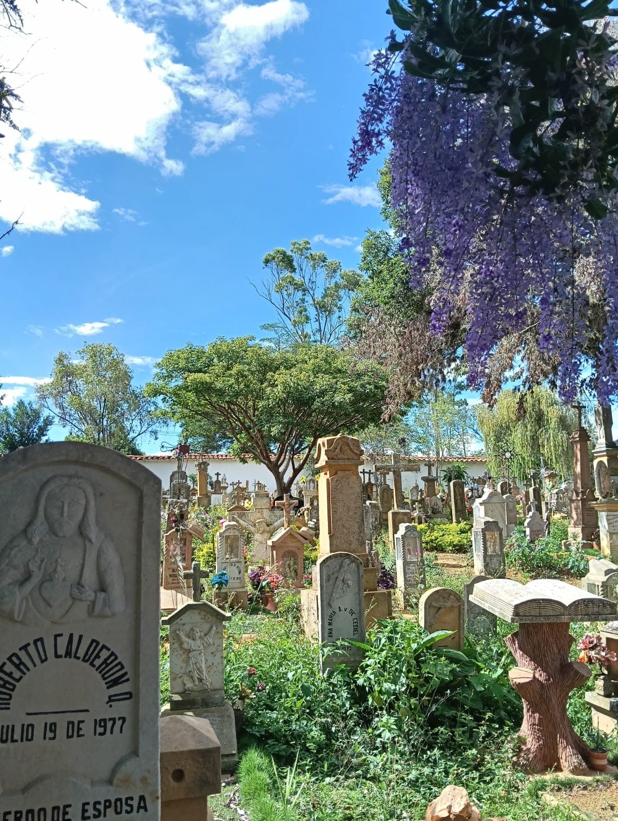 Cementerio con flor morada colgando