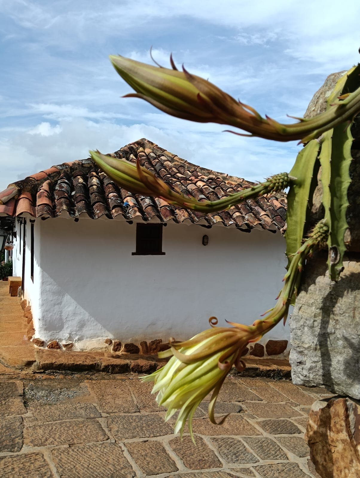Casa con flores en Barichara