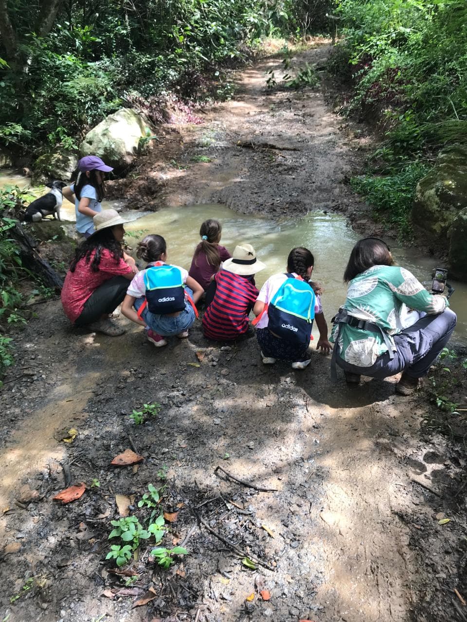 Niños explorando en la quebrada
