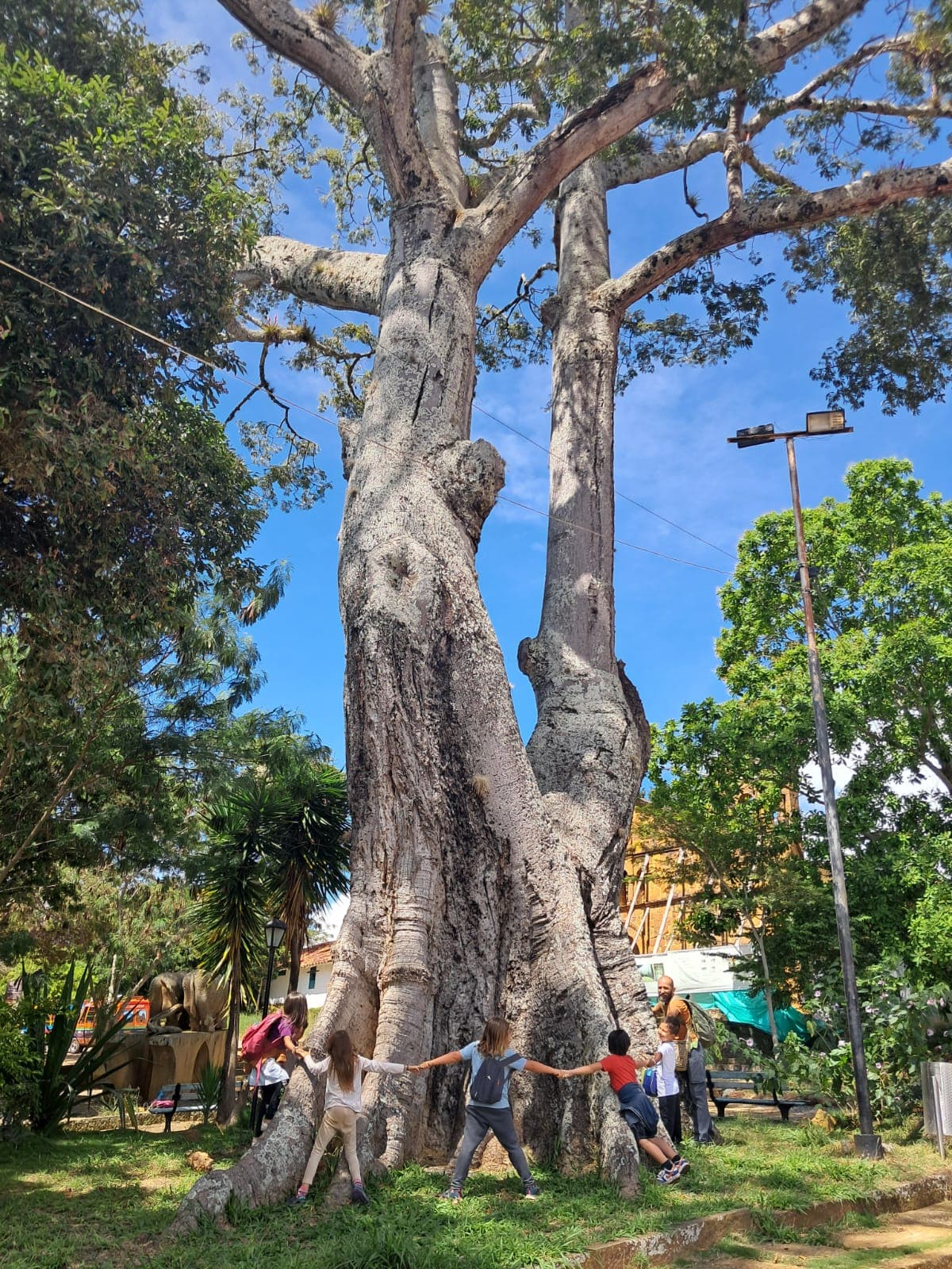 Niños explorando en Caracoli - Sueños del Bosque