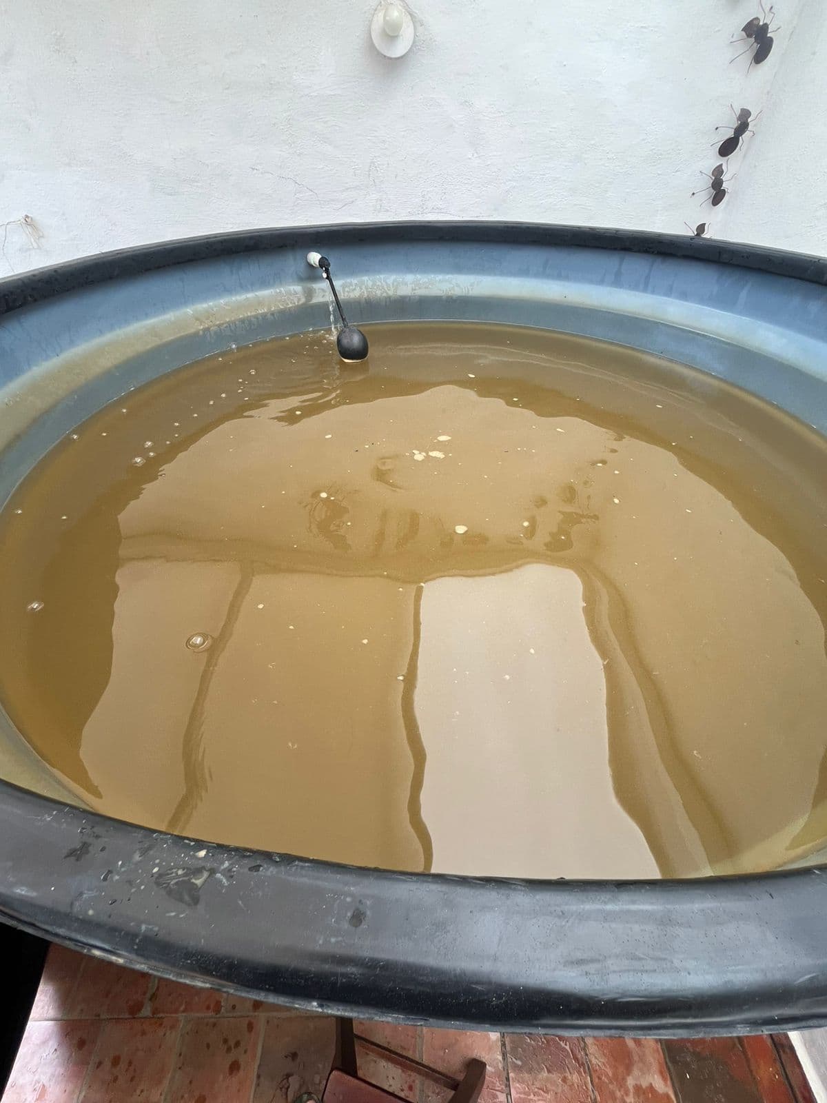 Tanque de agua en mal estado con agua turbia y sucia en Barichara