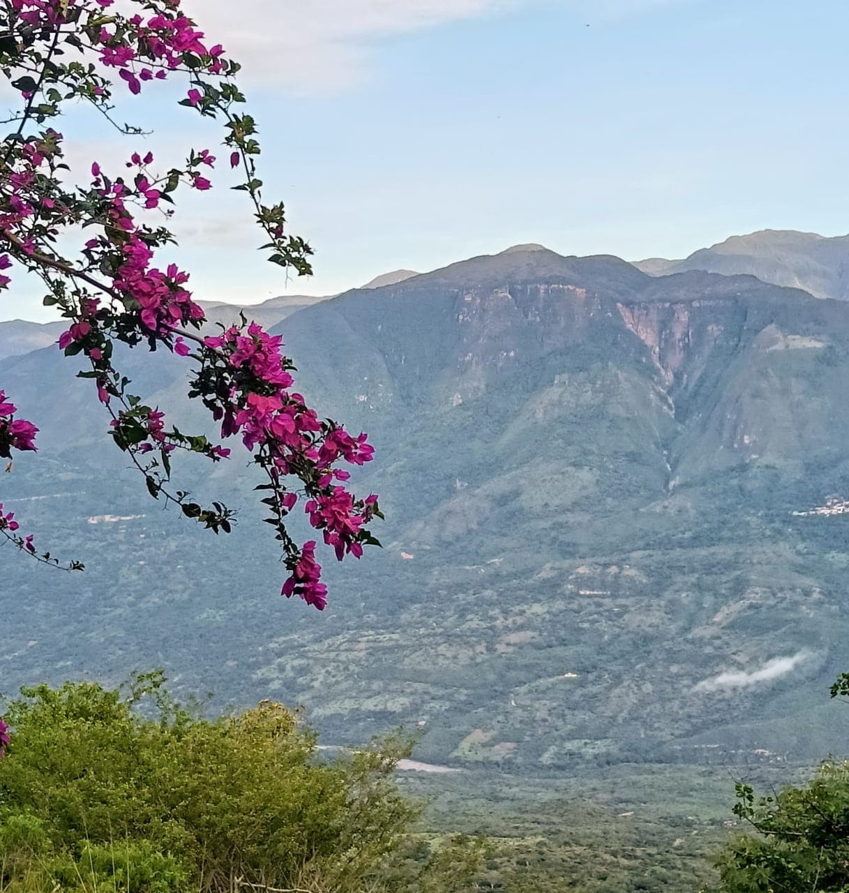 Montañas de los Yariguíes