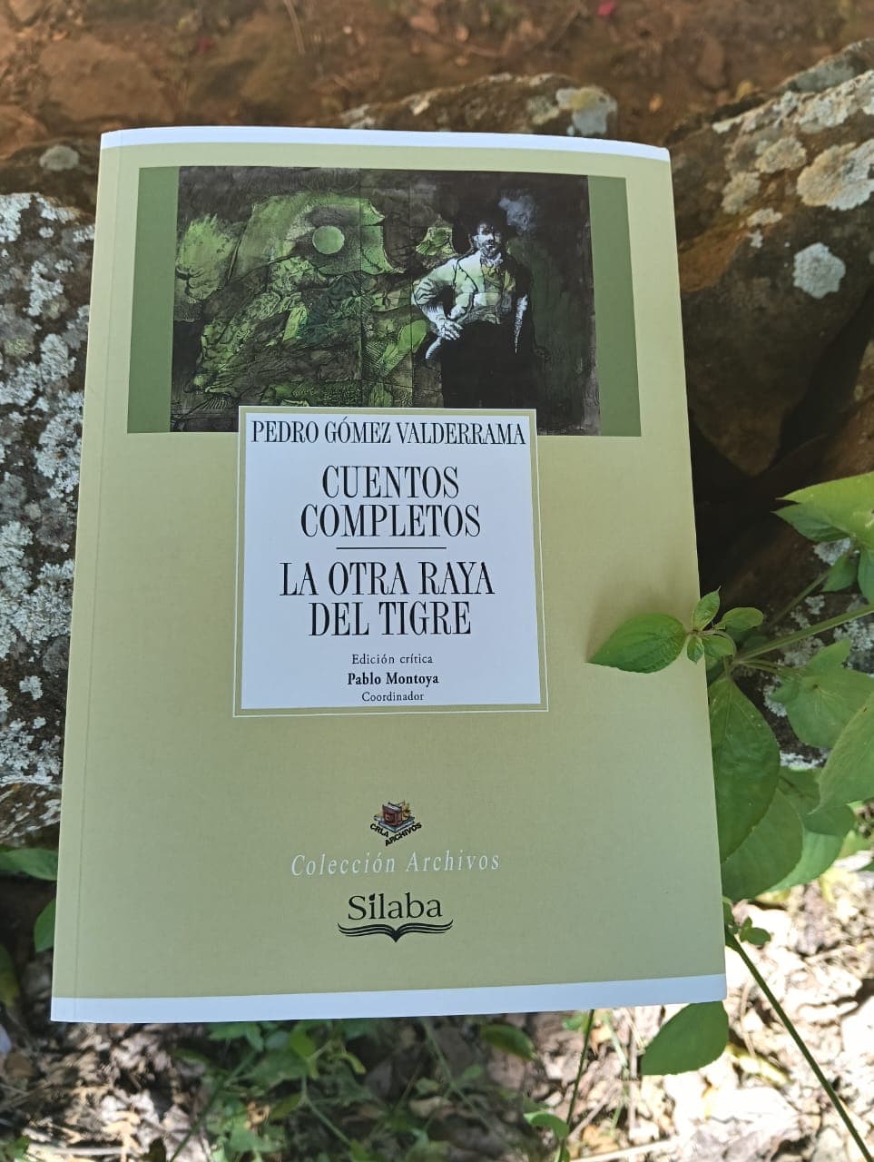 Portada del libro La Otra Raya del Tigre