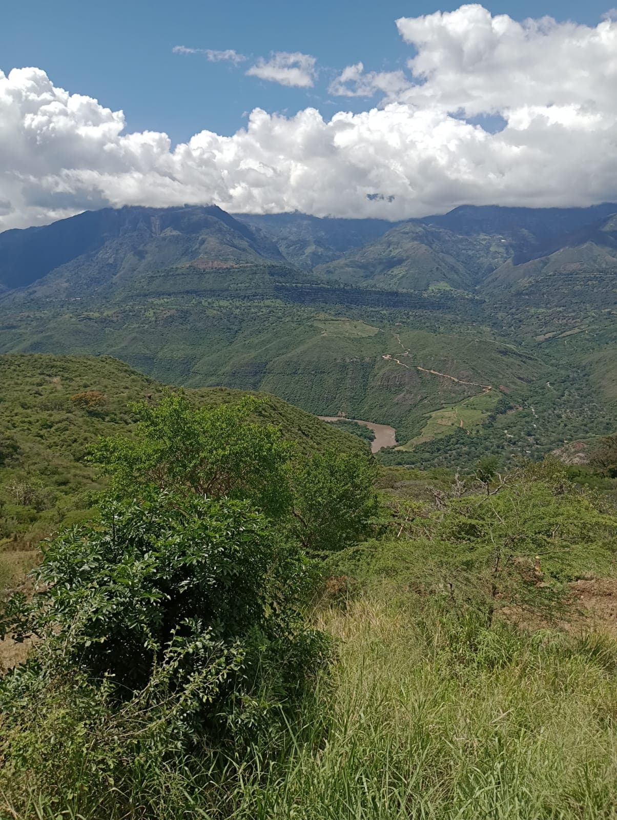 Paisaje del Río Suárez