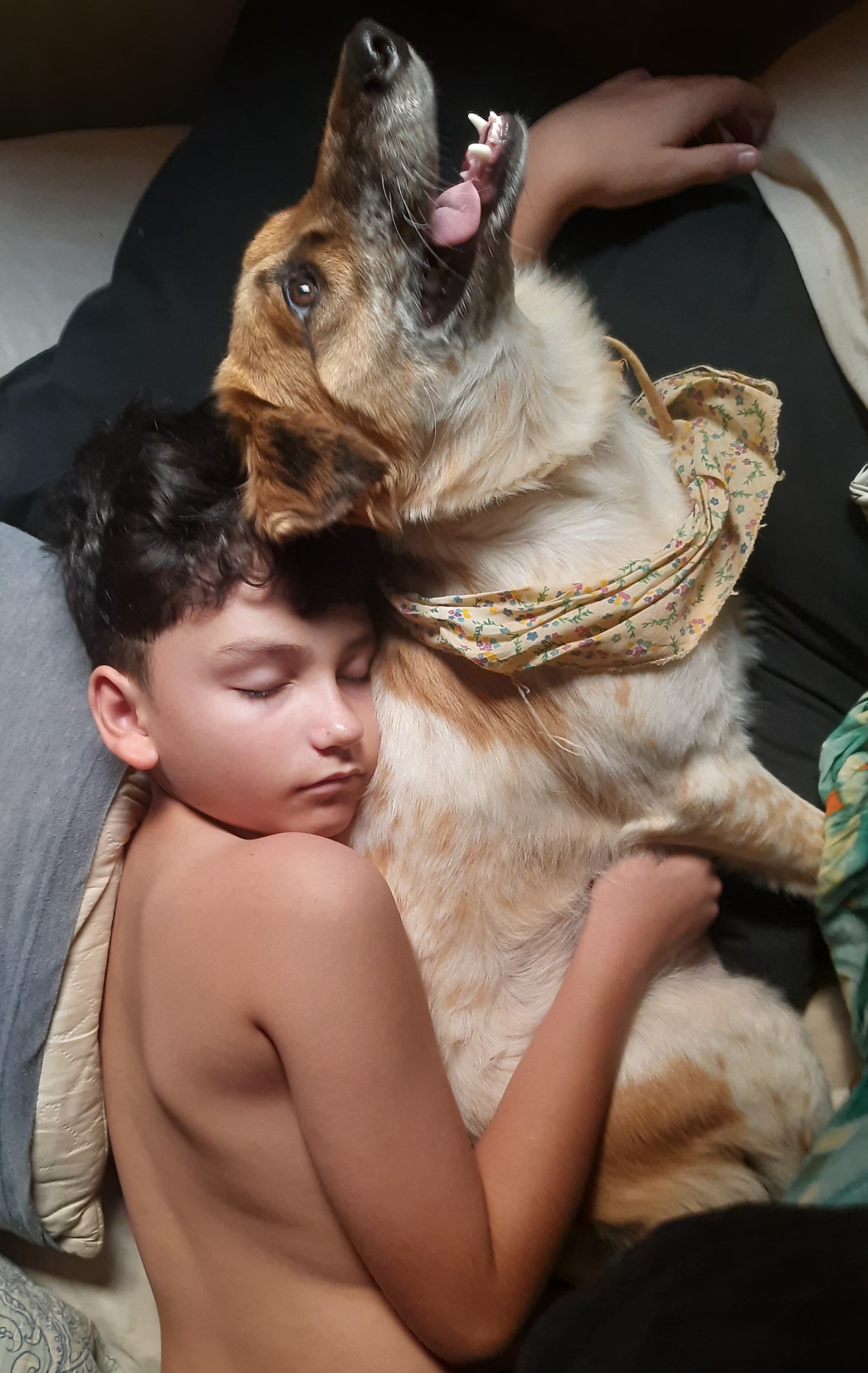 Pintura de Meli y Amaru